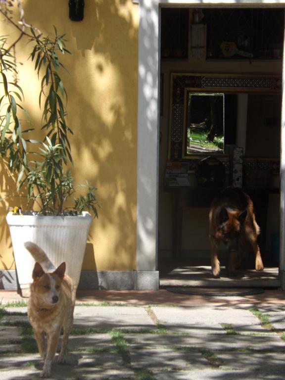 Villa Mirano Bed & Breakfast Piossasco Εξωτερικό φωτογραφία
